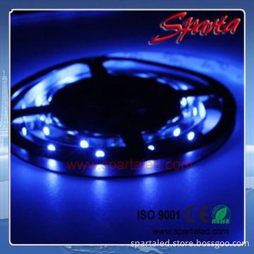 SMD5050/3528 cheap flexible LED strip(CE,RoHS)